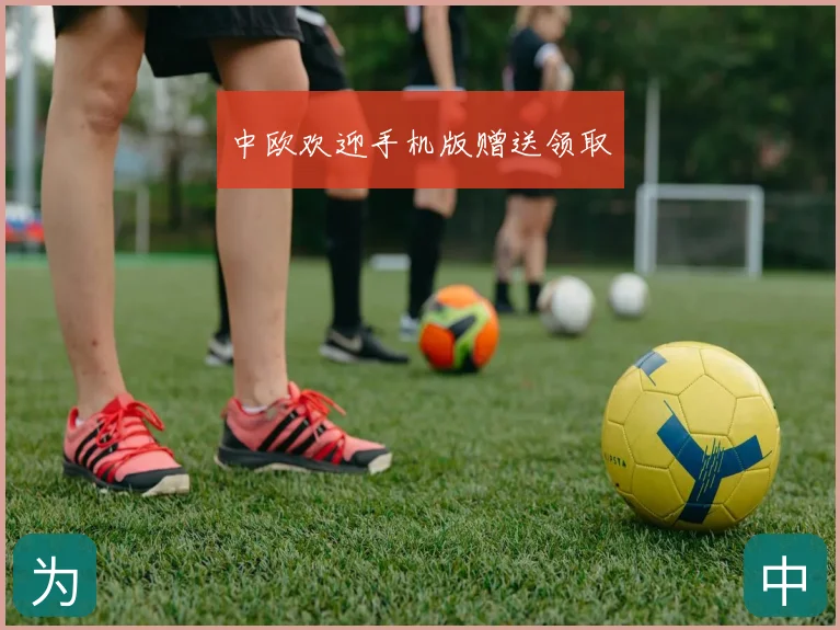 中欧欢迎手机版赠送领取